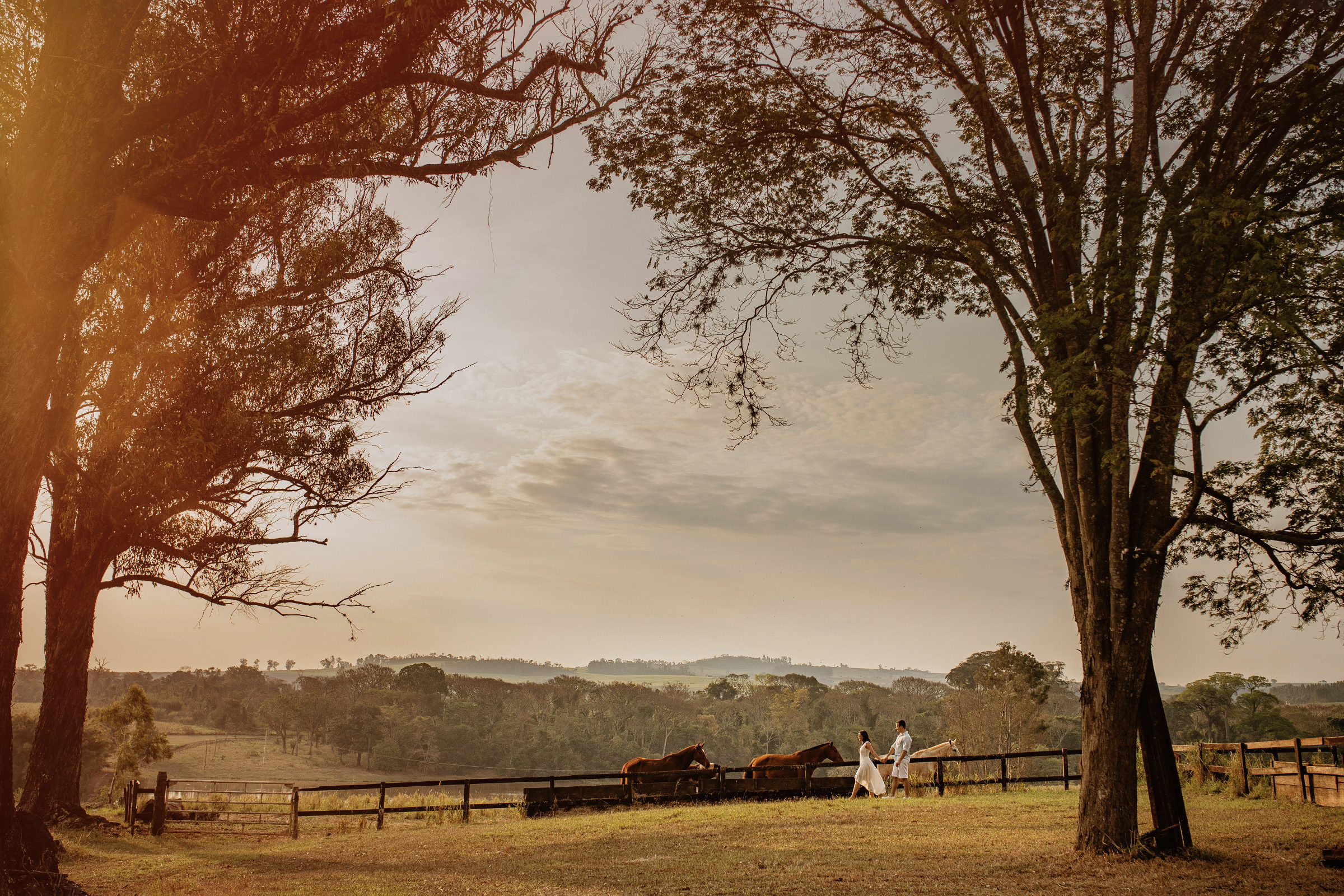 Foto de Marcelo Caetano 28