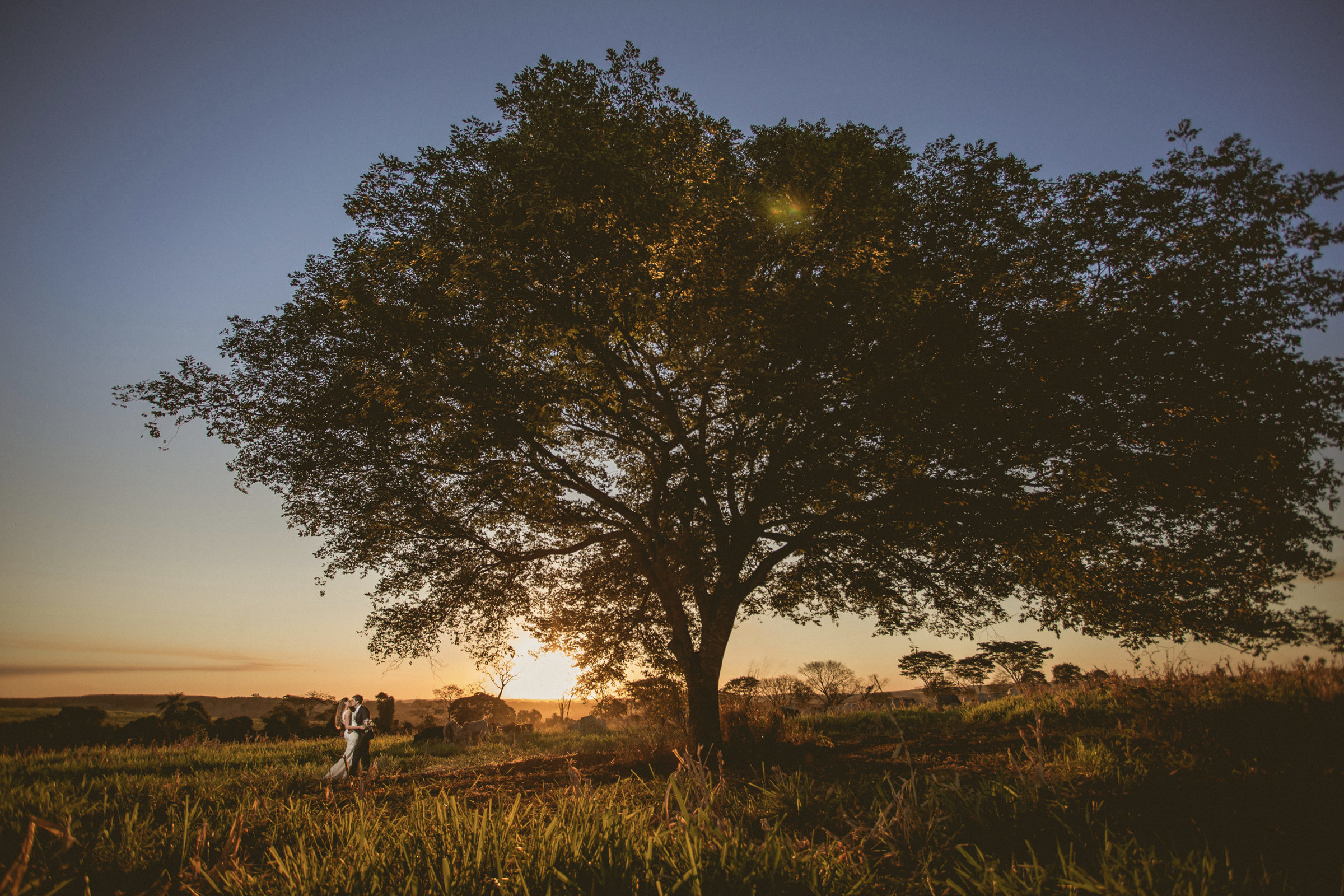 Foto de Marcelo Caetano 39