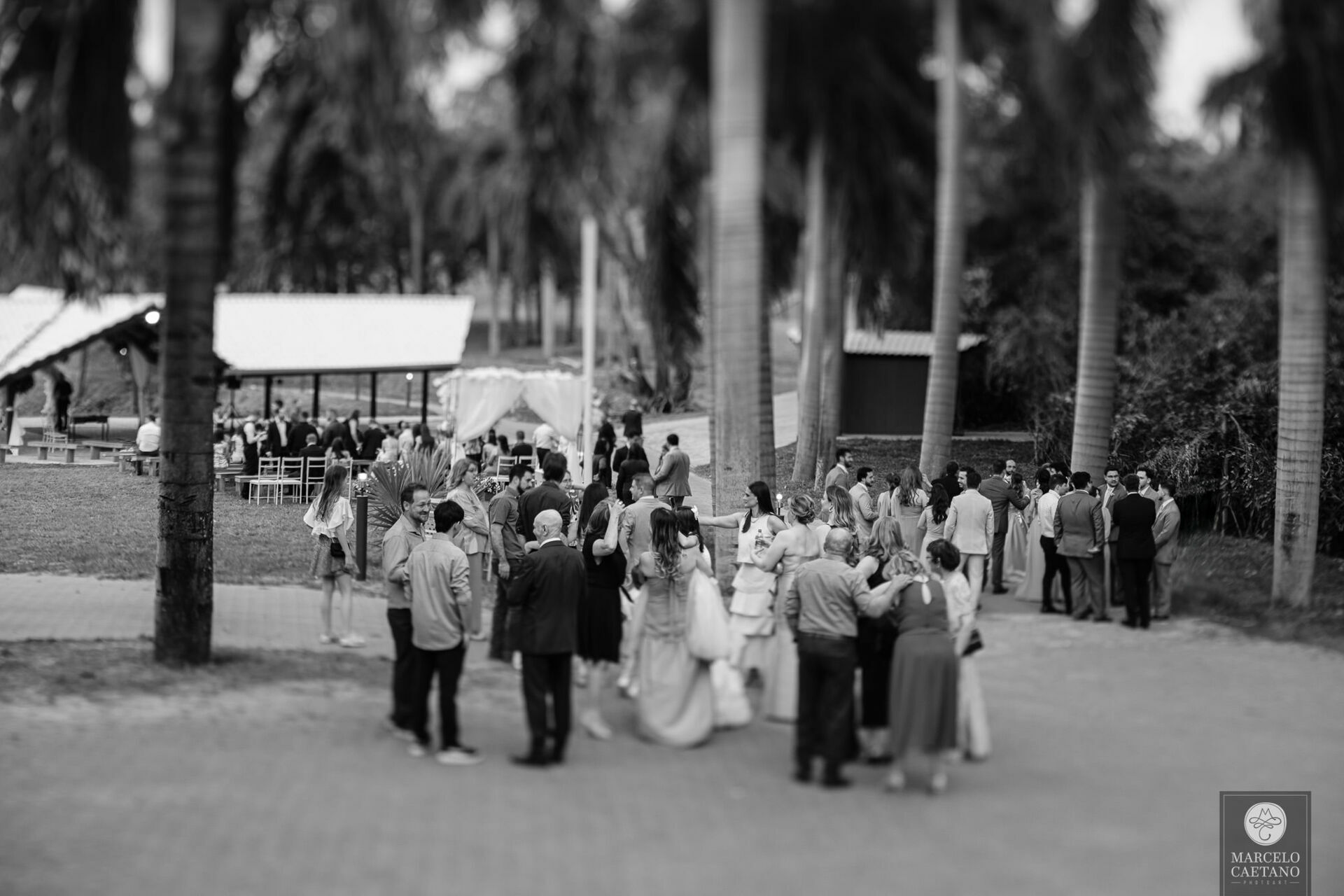Foto Casamento no por do sol - Lorrana e Guilherme Foto Casamento no por do sol - Lorrana e Guilherme - Imagem 16