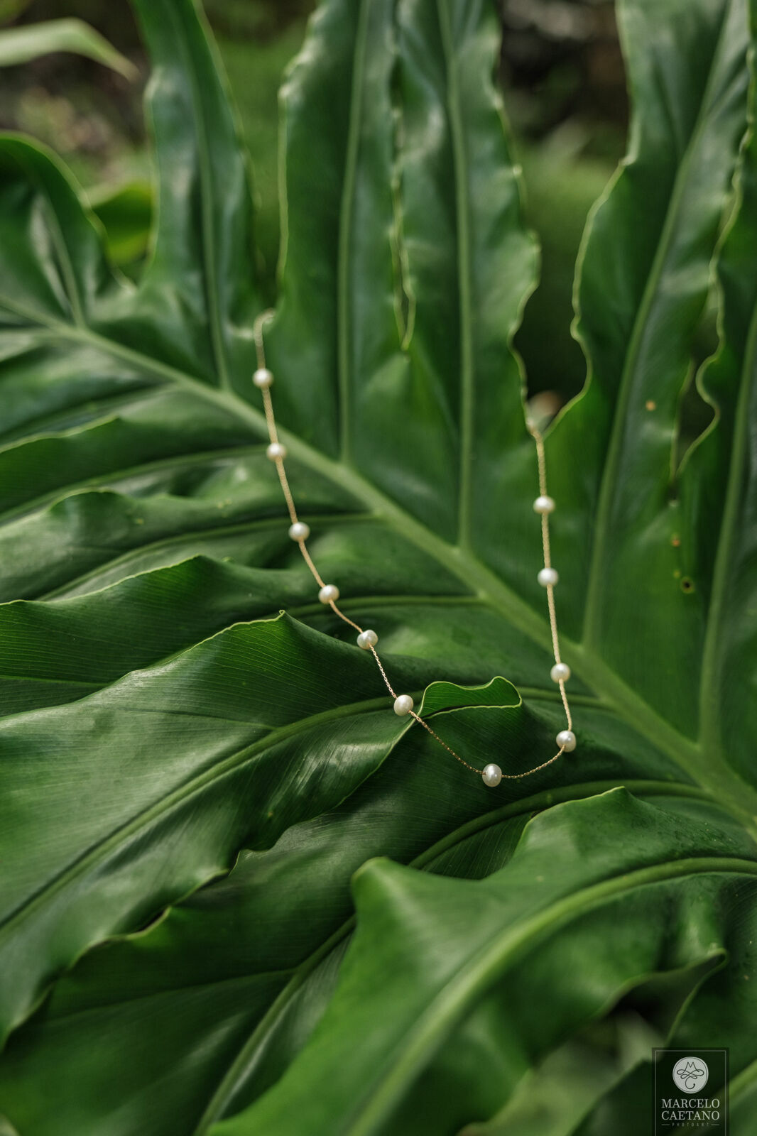 Foto Casamento na praia - Ubatuba - Vanessa e Gabriel - Imagem 4