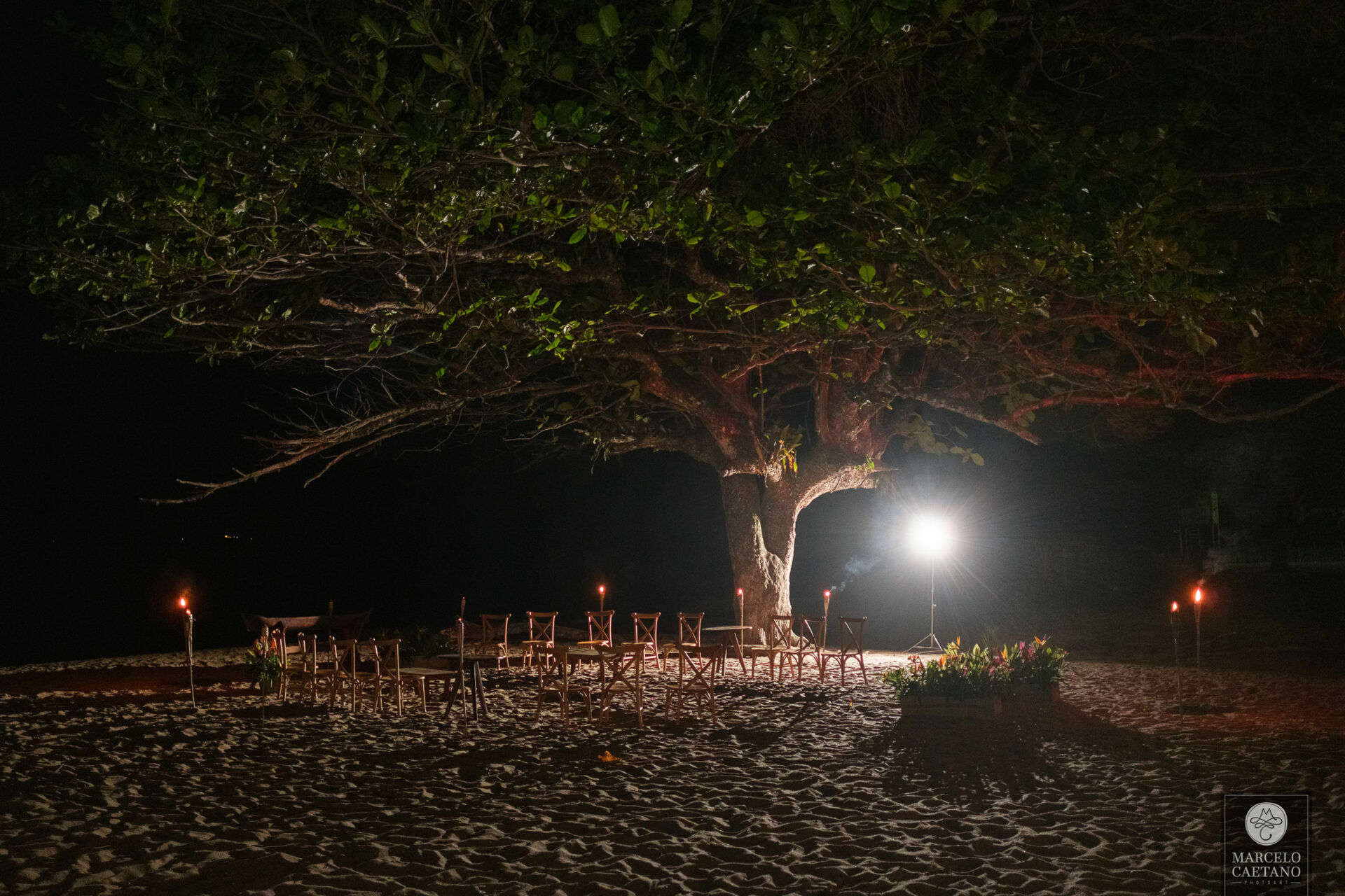 Foto Casamento na praia - Ubatuba - Vanessa e Gabriel - Imagem 121