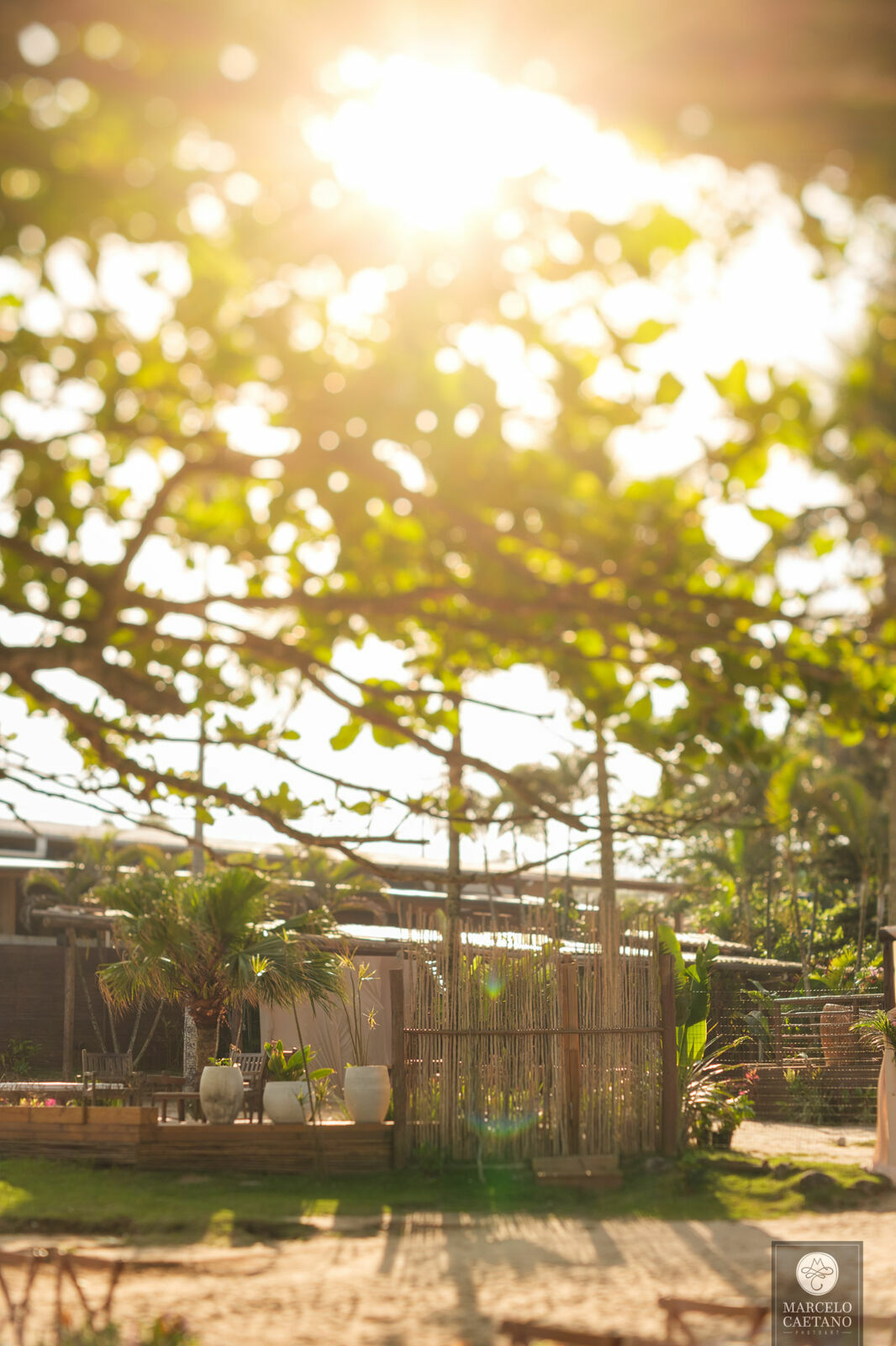 Foto Casamento na praia - Ubatuba - Vanessa e Gabriel - Imagem 26