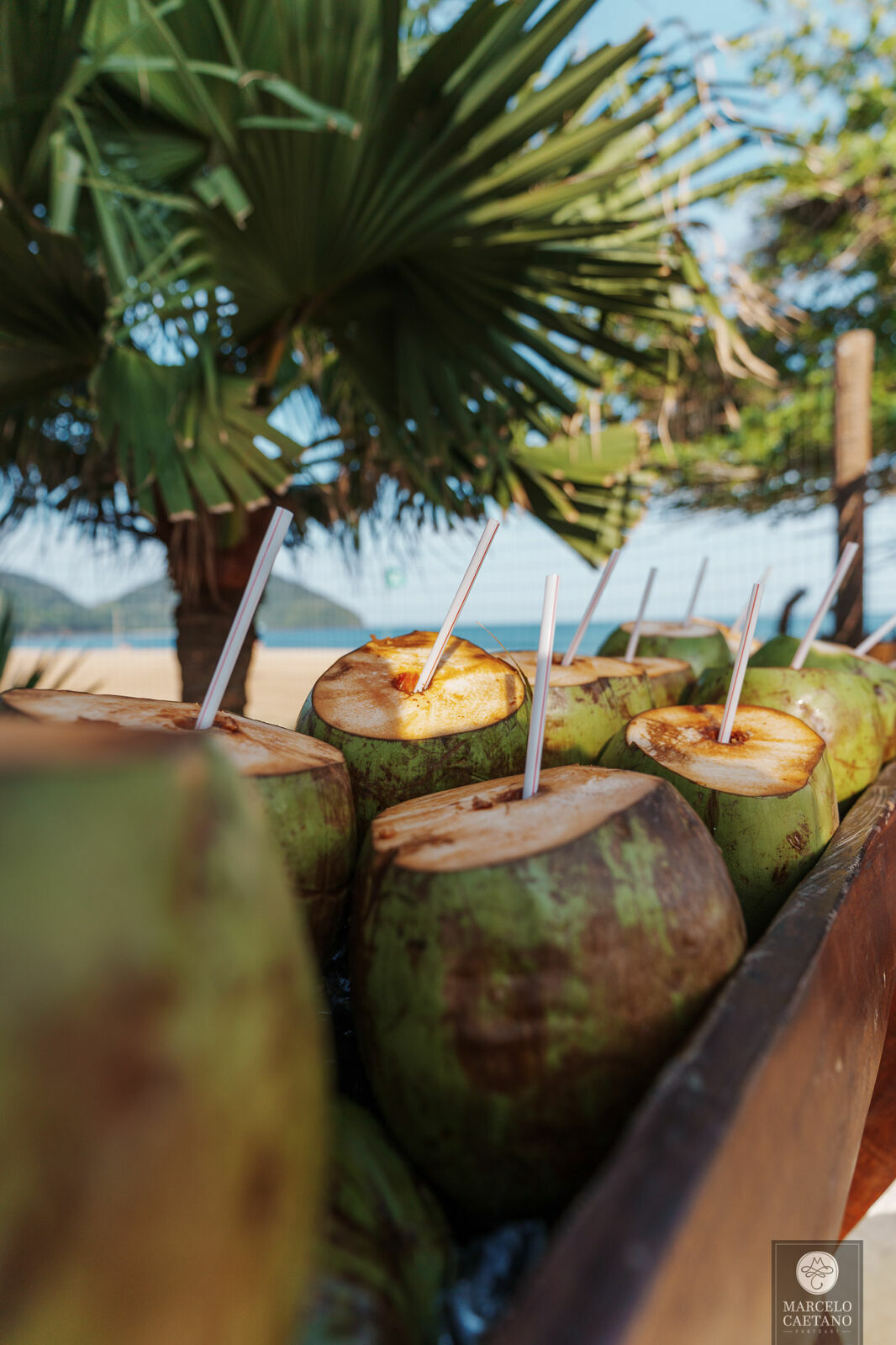 Foto Casamento na praia - Ubatuba - Vanessa e Gabriel - Imagem 27
