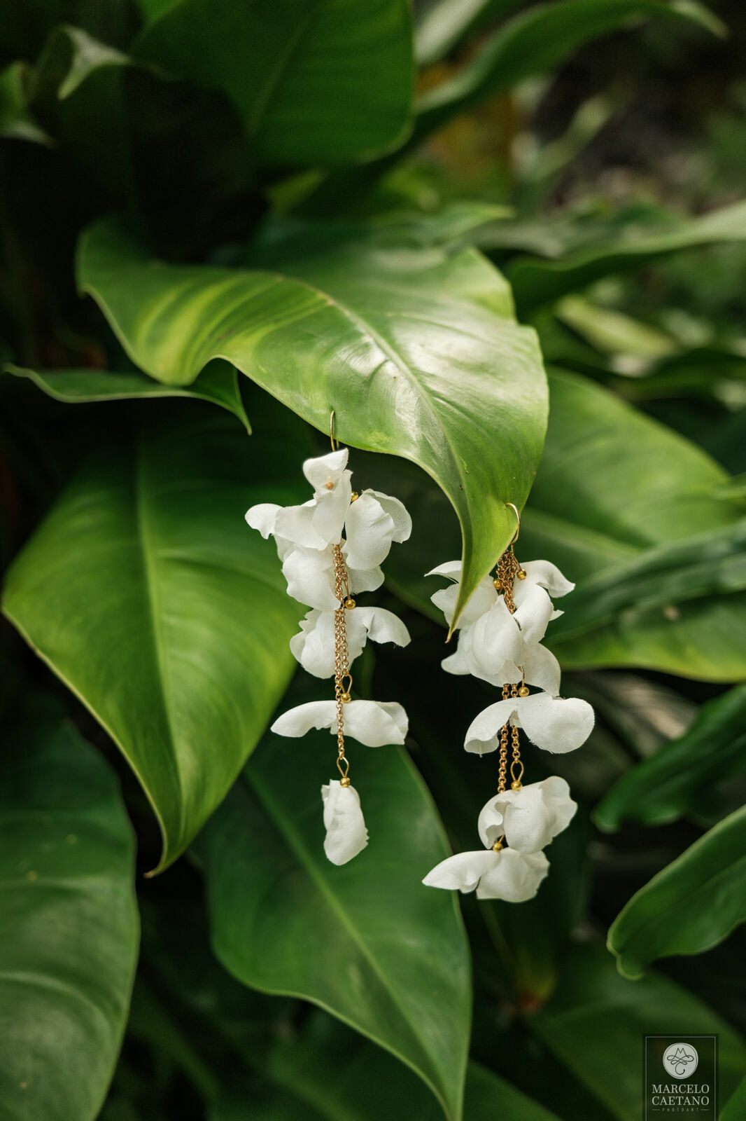 Foto Casamento na praia - Ubatuba - Vanessa e Gabriel - Imagem 5