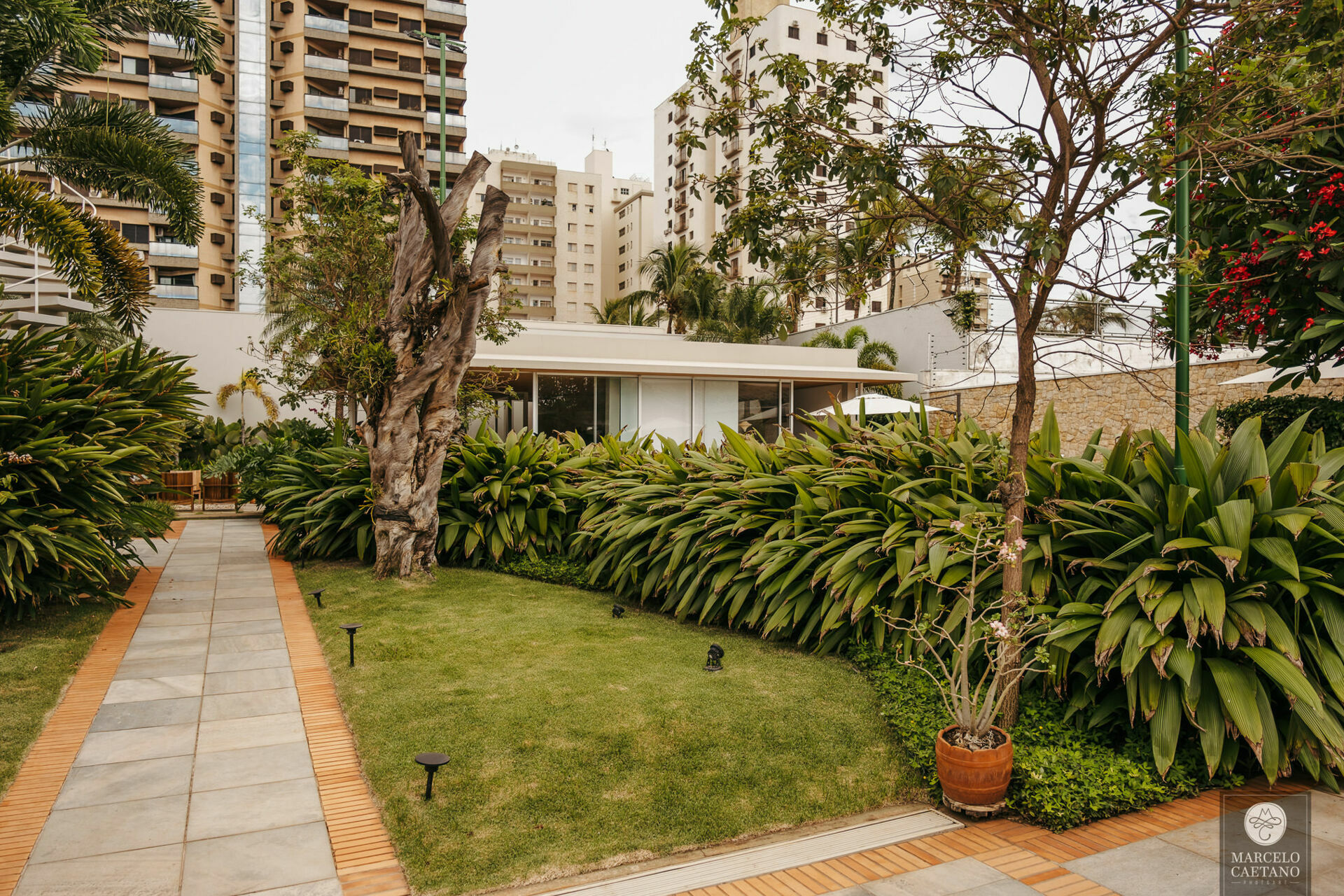 Foto Casamento Intimista em Catanduva - Carol e Gabriel - Imagem 0