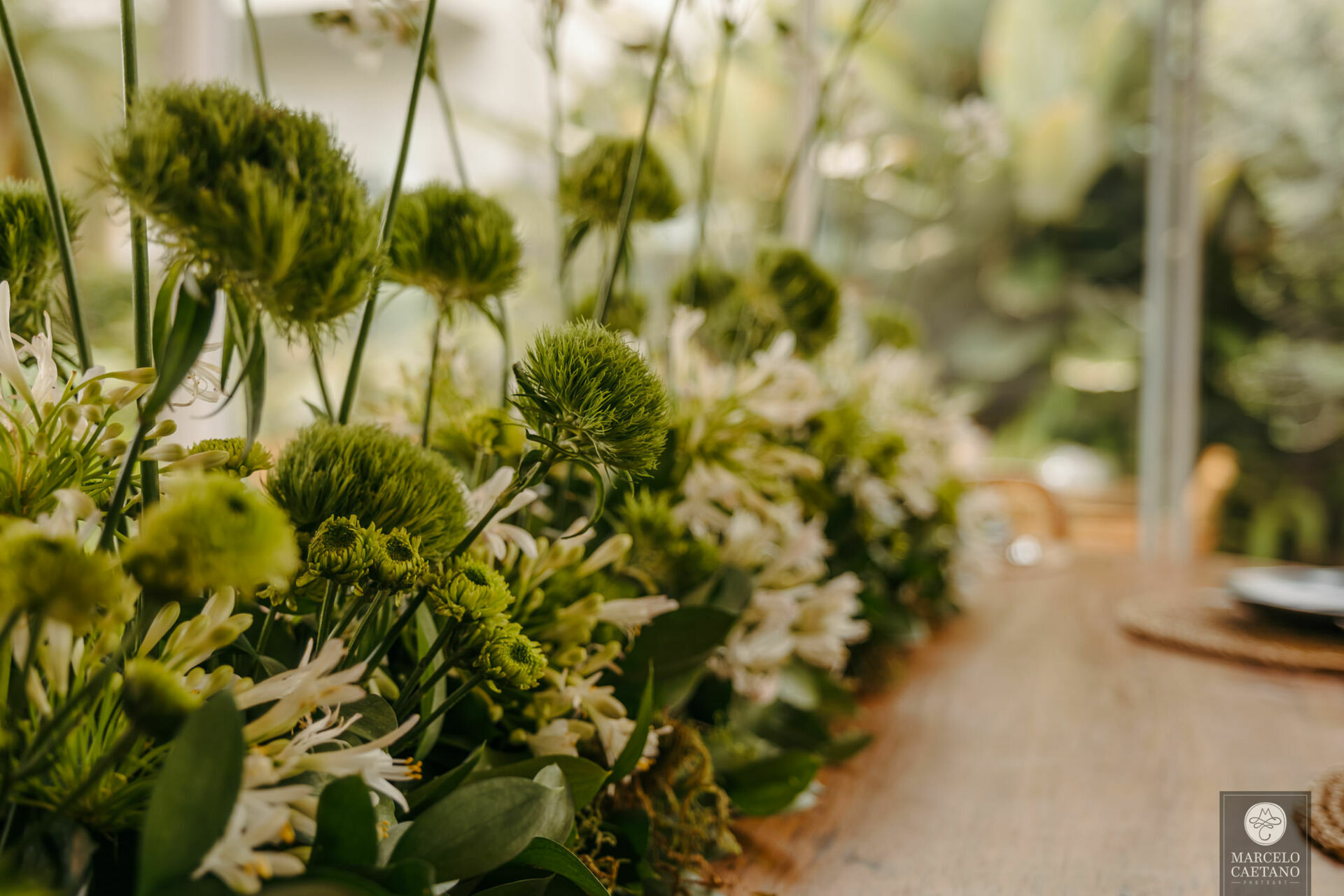 Foto Casamento Intimista em Catanduva - Carol e Gabriel - Imagem 3