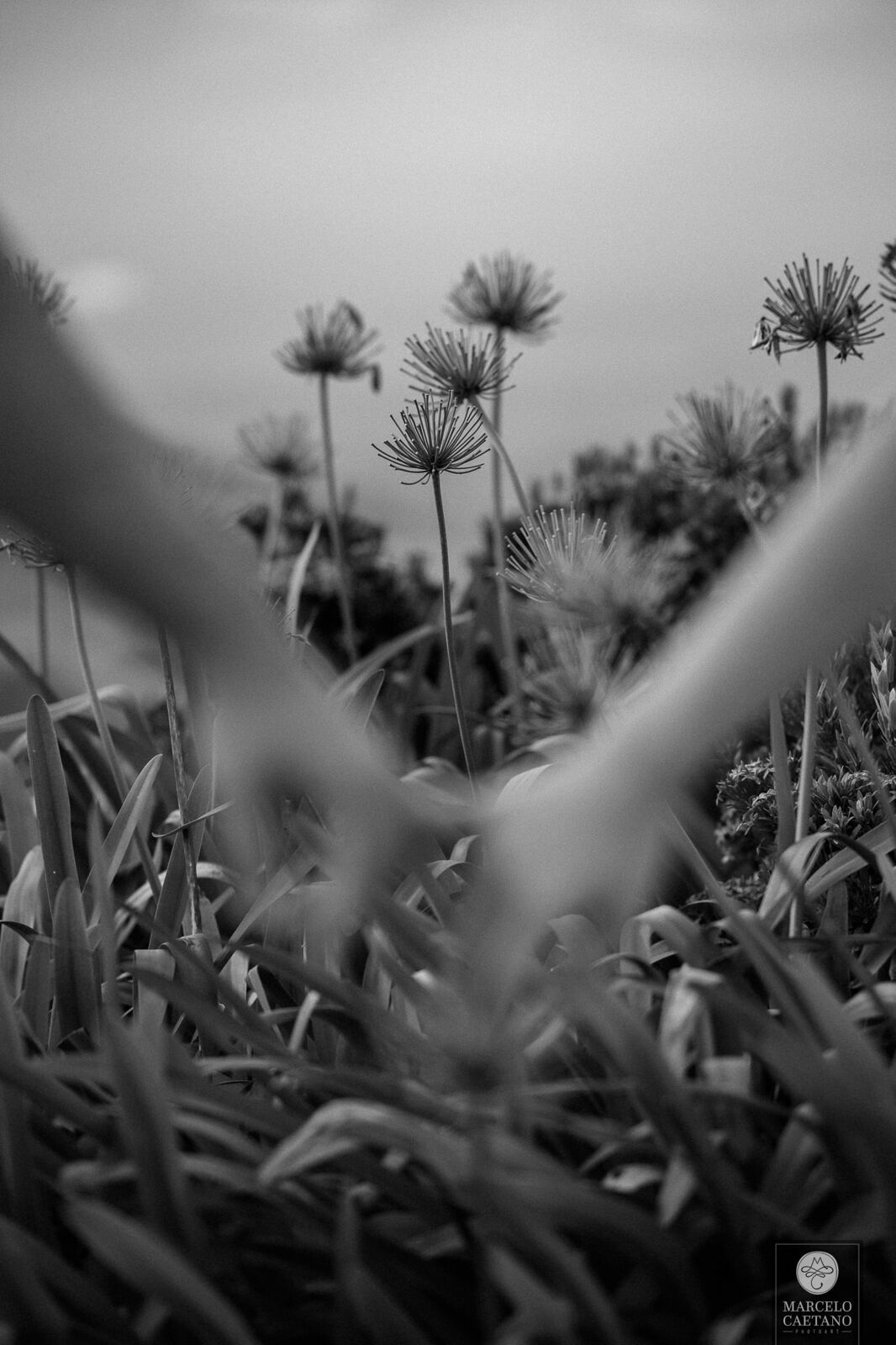 Foto Ensaio Casa Di Pietra - Villa Toscana - Letícia e Fábio - Imagem 75