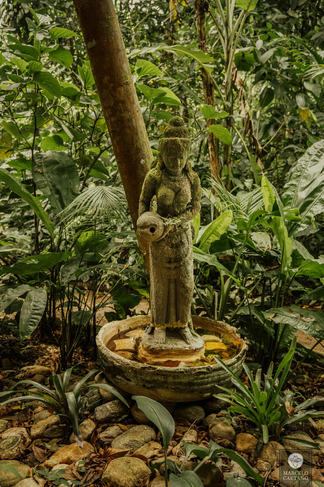 Foto Casamento na Praia - Ubatuba - Stephane e Nicholas - Imagem 1