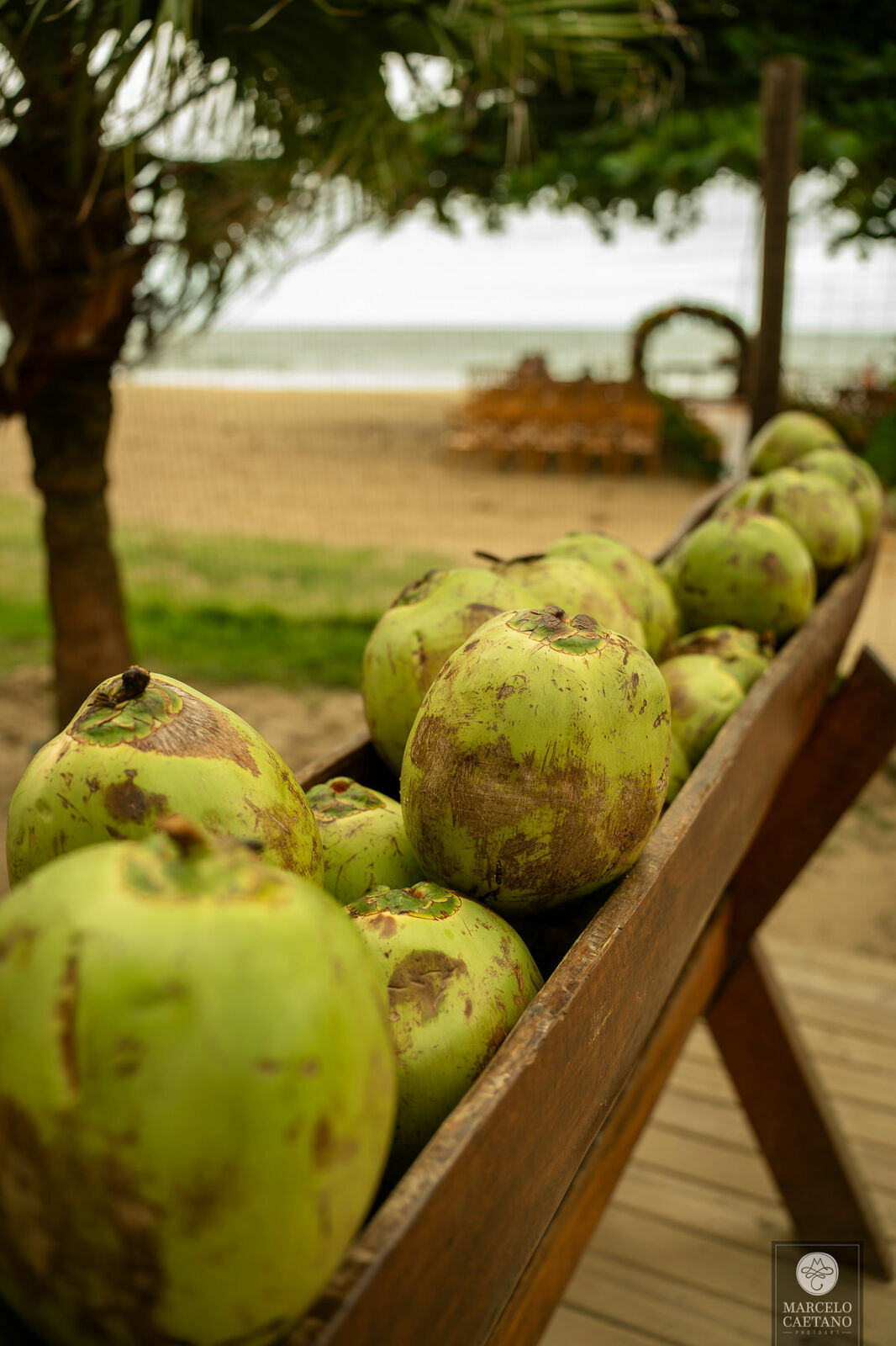 Foto Casamento na Praia - Ubatuba - Stephane e Nicholas - Imagem 19