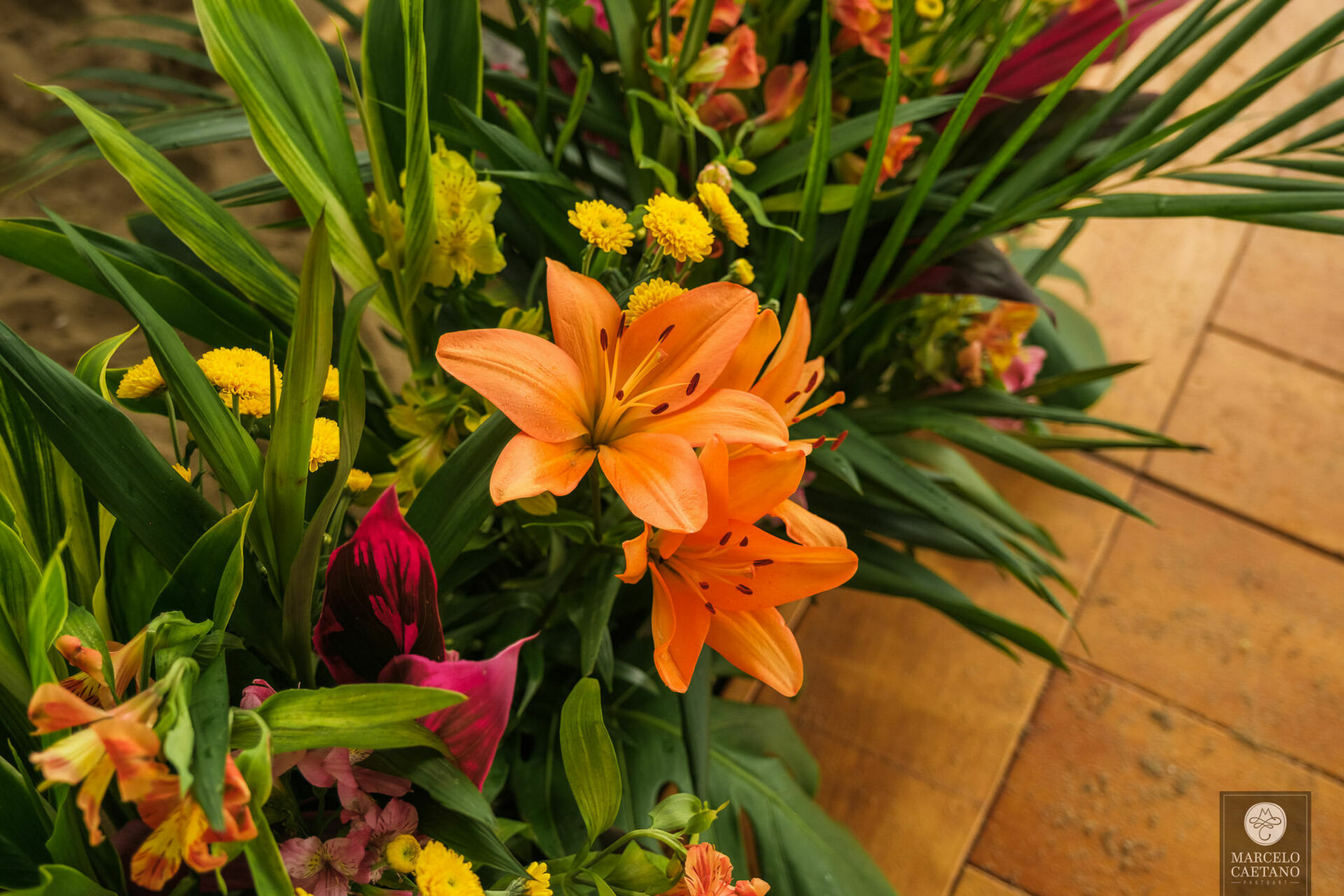 Foto Casamento na Praia - Ubatuba - Stephane e Nicholas - Imagem 16