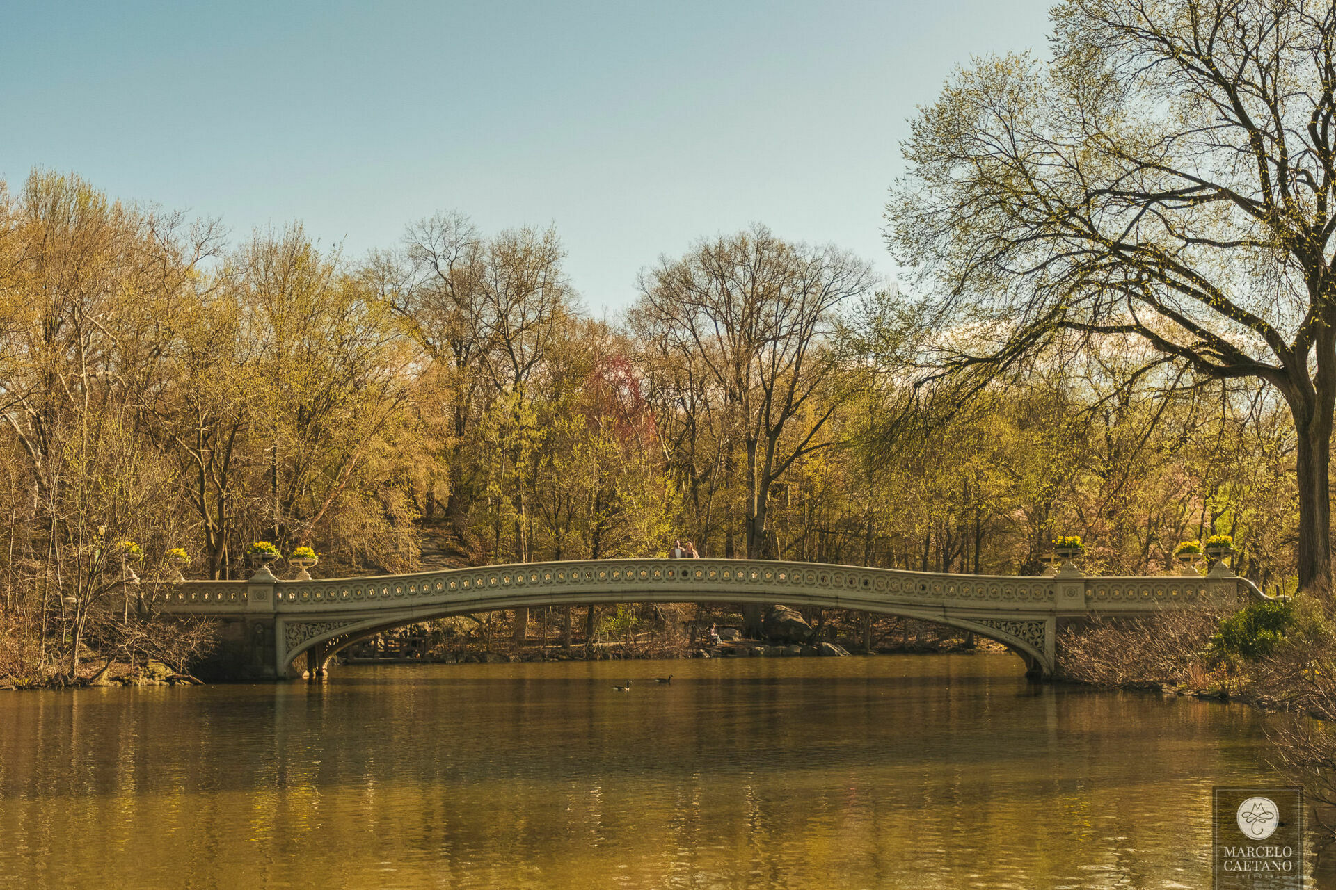 Foto Ensaio romântico em Nova York - Faith e Marcos - Parte 1 - Imagem 40