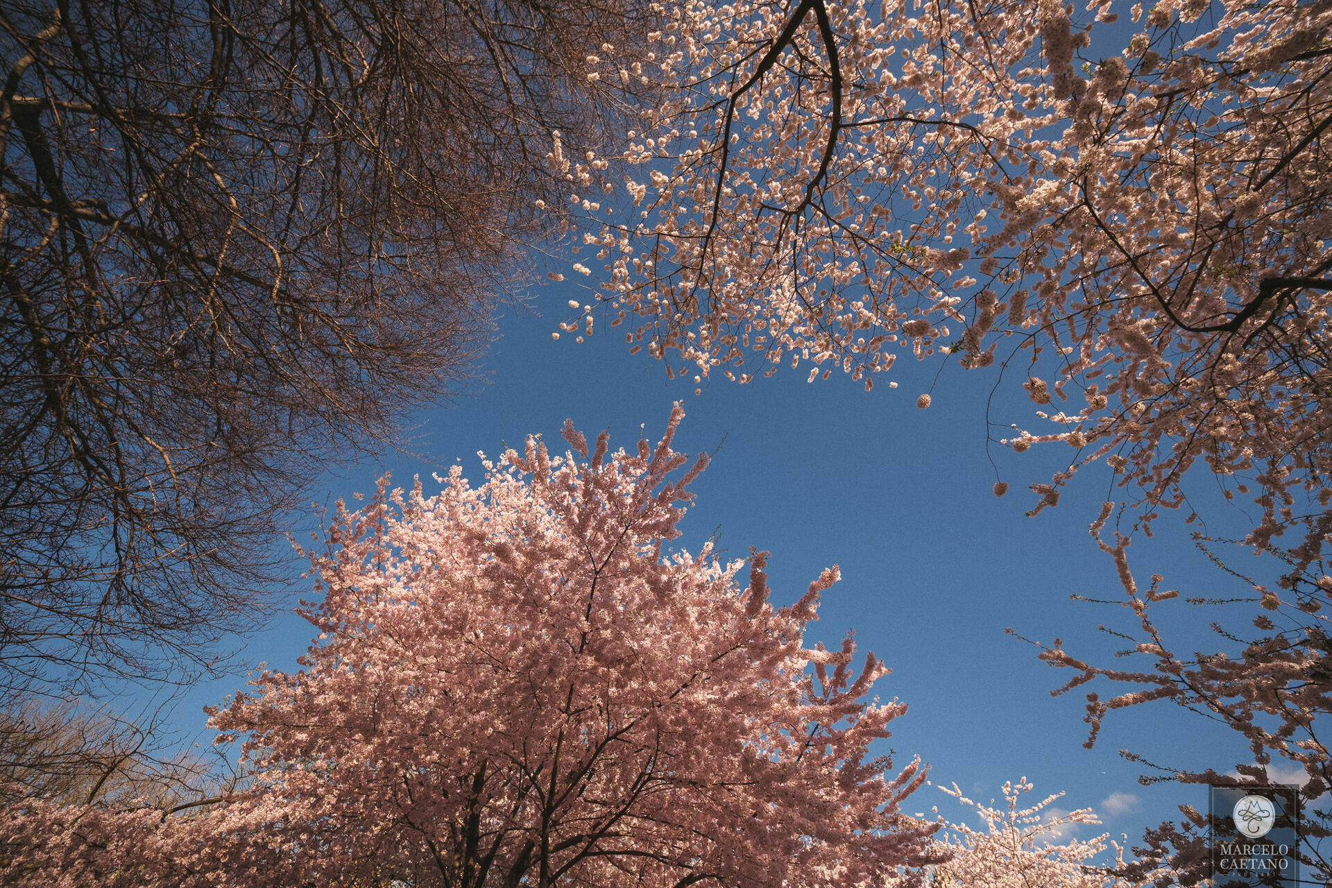 Foto Ensaio romântico em Nova York - Faith e Marcos - Parte 1 - Imagem 32