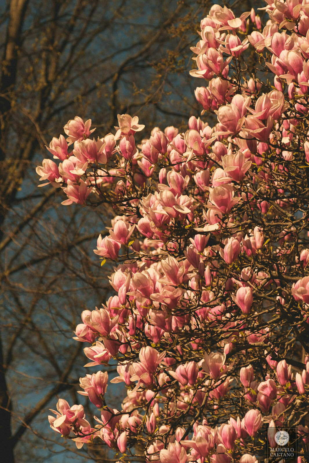 Foto Ensaio romântico em Nova York - Faith e Marcos - Parte 1 - Imagem 49