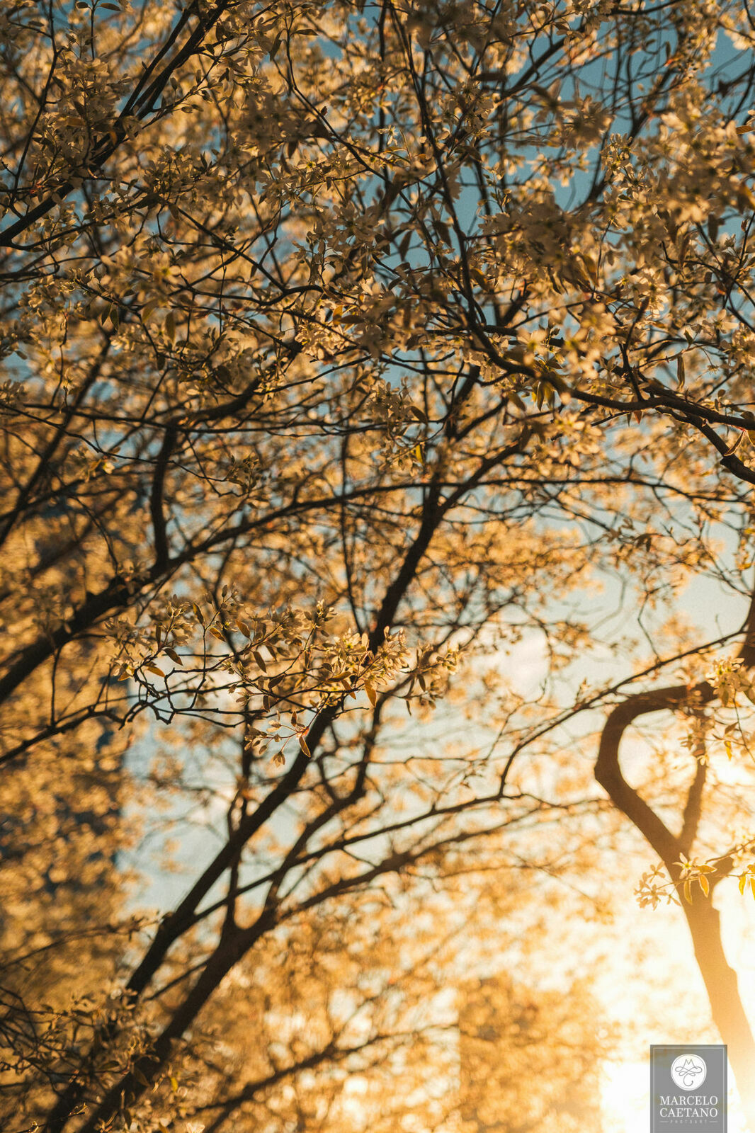 Foto Ensaio romântico em Nova York - Faith e Marcos - Parte 1 - Imagem 14