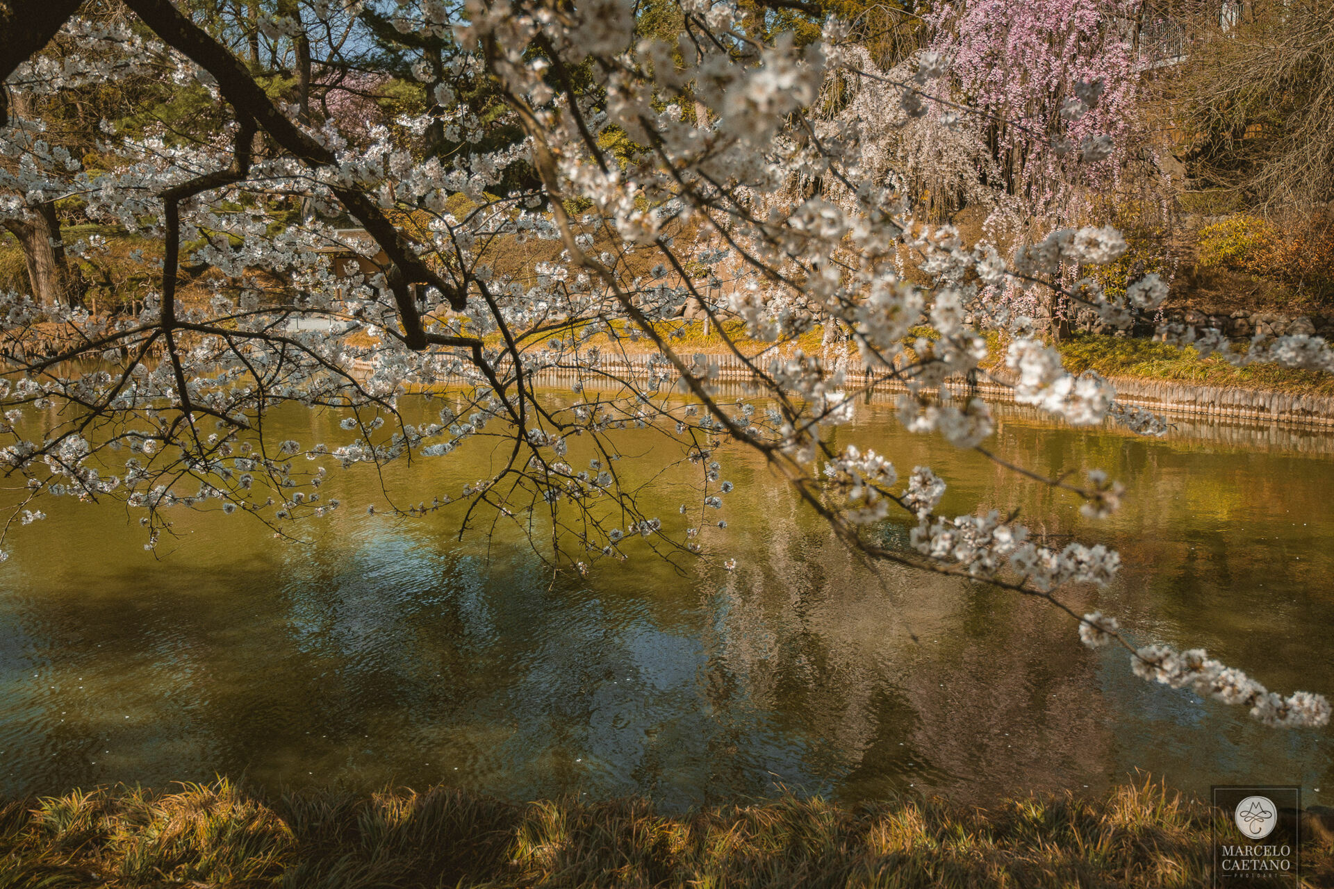 Foto Ensaio romântico em Nova York - Faith e Marcos - Parte 3 - Imagem 17