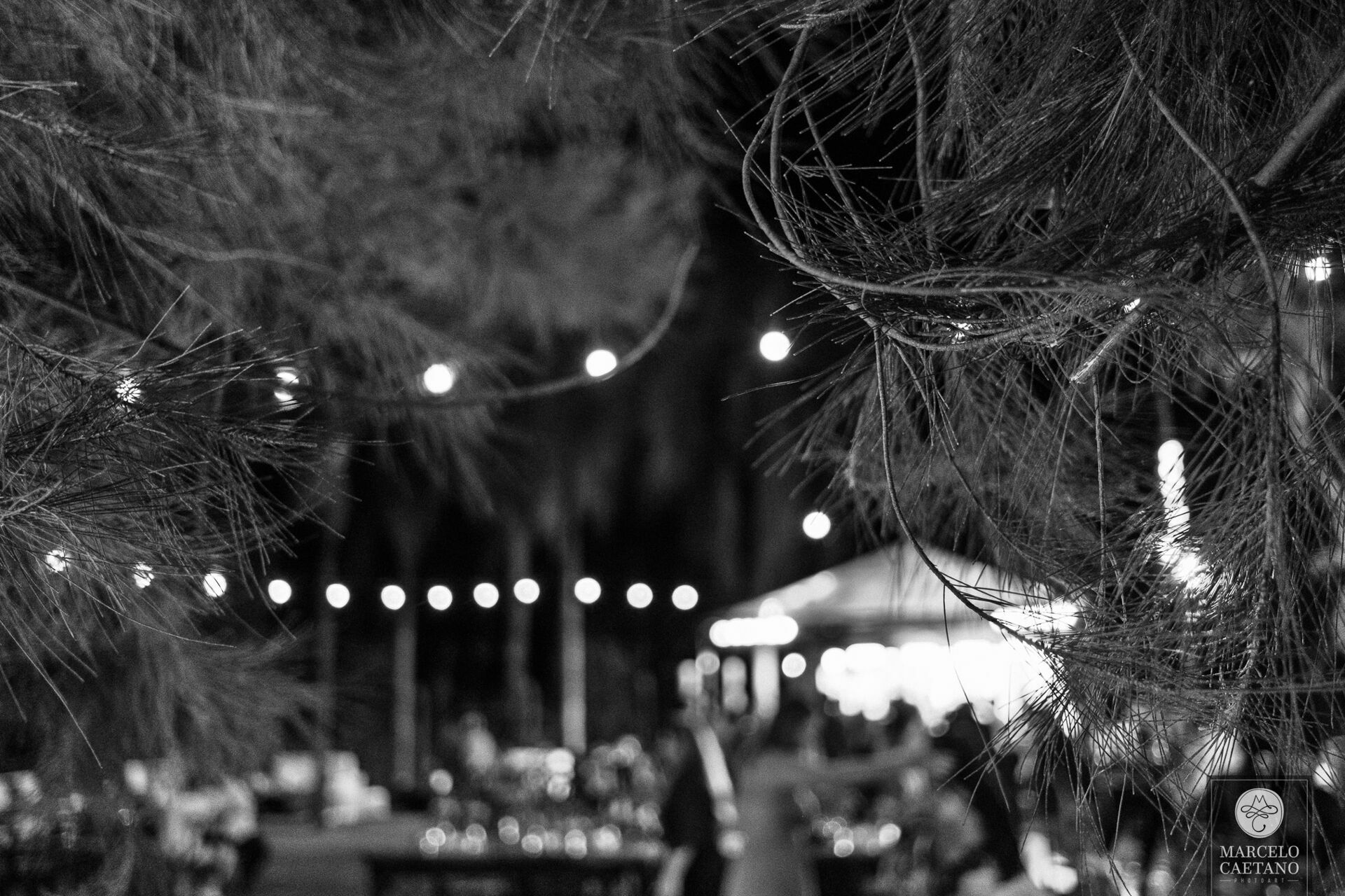 Foto Casamento no pôr do sol - Karol e Matheus - Imagem 136