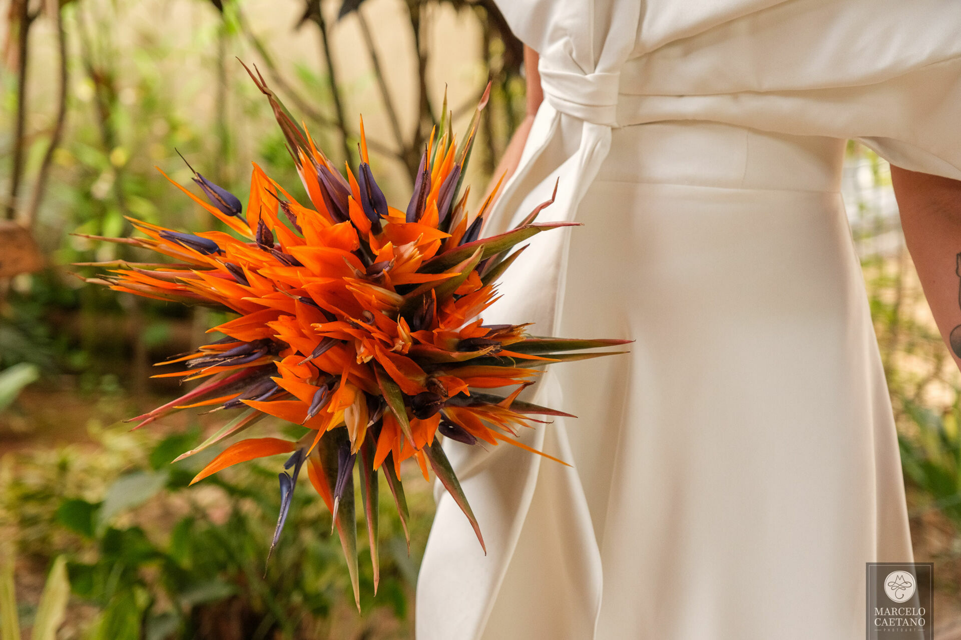 Foto Destination wedding em Ubatuba - Gabi e João - Imagem 99